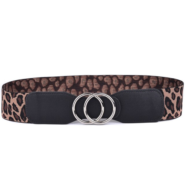 Canter Culture Double Circle 2" Elastic Belt