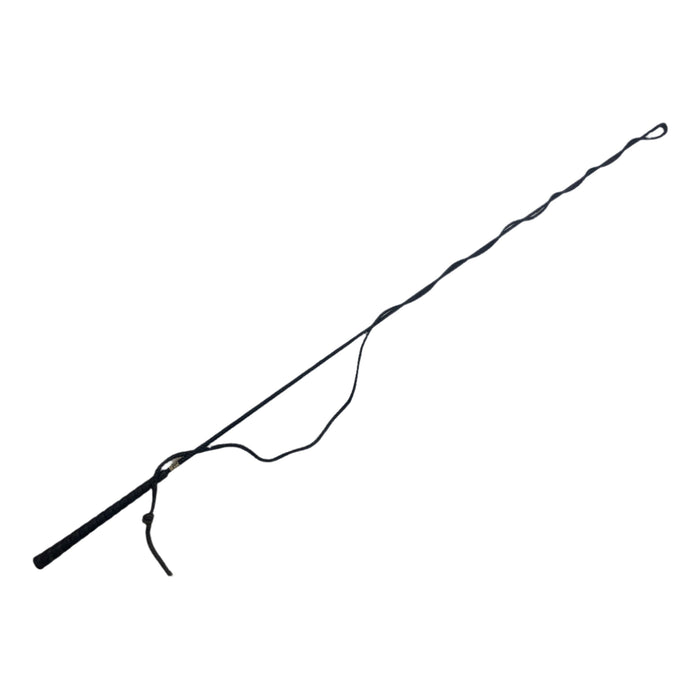 CNT 2859M Lunge Whip Black