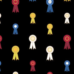 Ovation FootZees Boot Sock