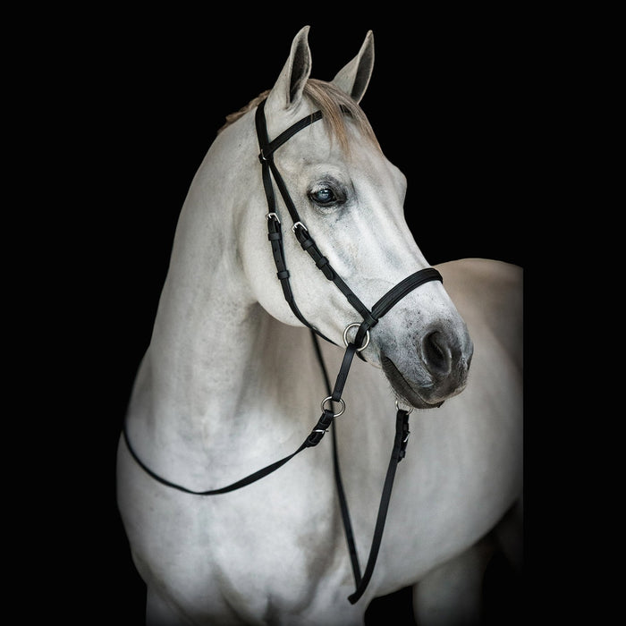 Dr. Cooks Beta Bitless Bridle