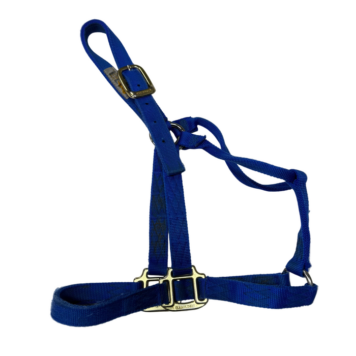CNT 3023P Hamilton Halter Nylon Blue Horse