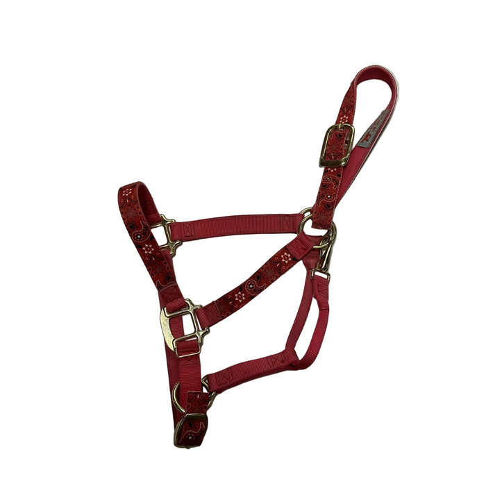 CNT 3183I Nylon Halter Red Pattern Medium Horse
