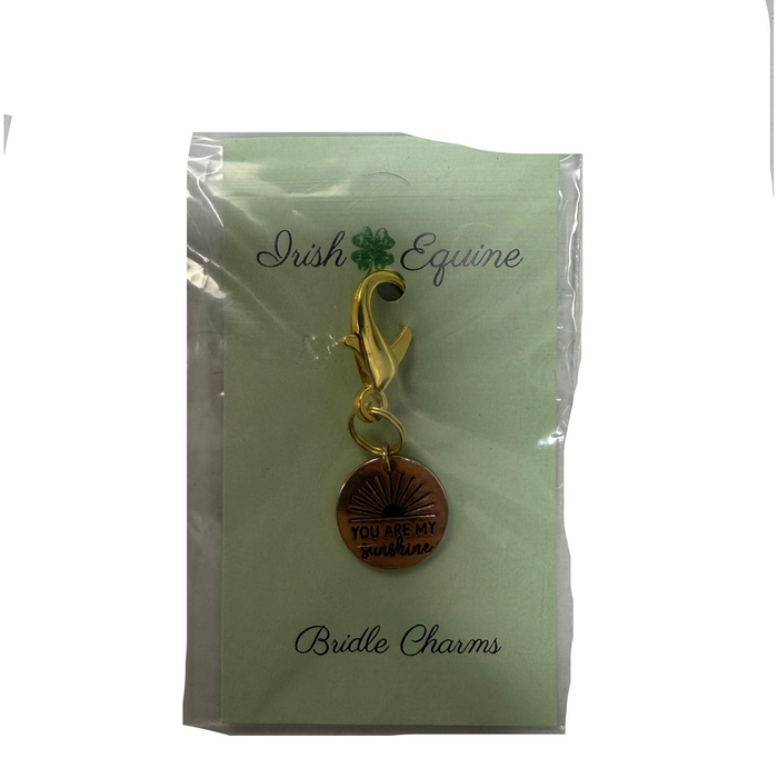 Irish Equine Bridle Charm