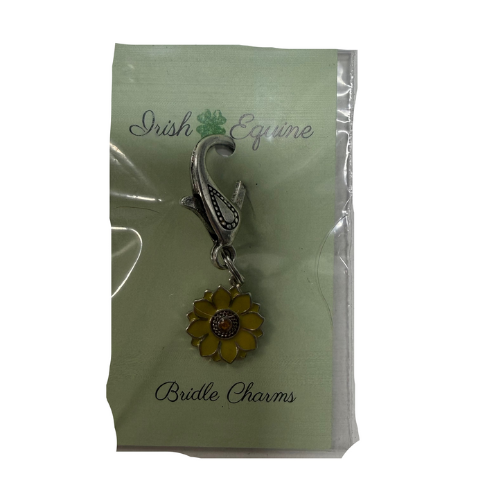 Irish Equine Bridle Charm