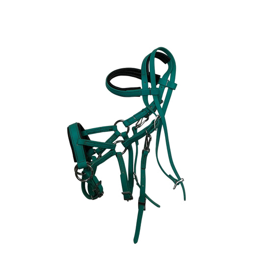 CNT 3222B Biothane Halter/Bridle Combo Teal Approx. Full