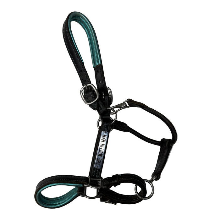 CNT 3074GGG Leather Halter Teal/Black approx. Full