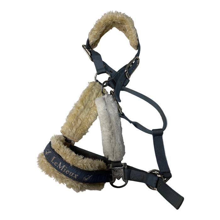 CNT 3074XX LeMieux Fleeced Lined Nylon Halter Blue Full