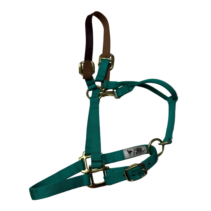 CNT 3071G Weaver Break Away Halter Teal Full