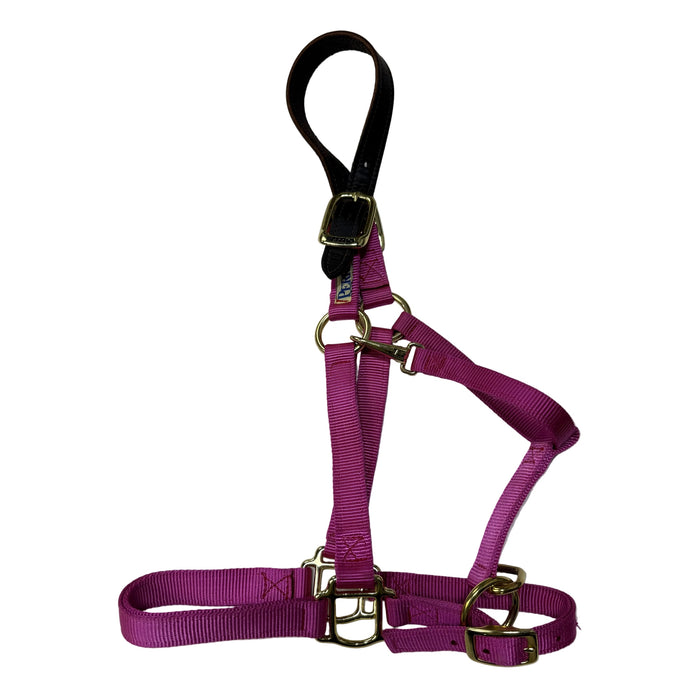 CNT 3090E Perris Nylon Breakaway Halter Pink Full