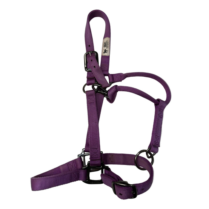 CNT 3081K Weaver Nylon Halter Purple Full