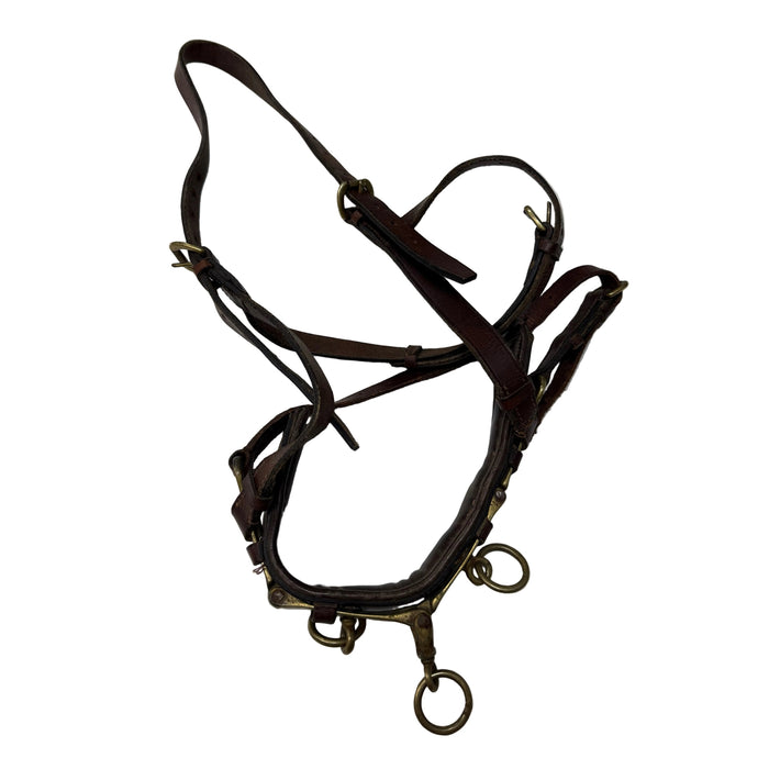 CNT 3087C Leather Lunging Cavesson Brown approx. Full