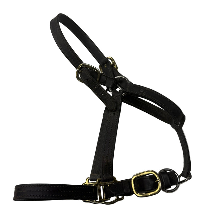 CNT 3101C Leather Halter Brown Cob