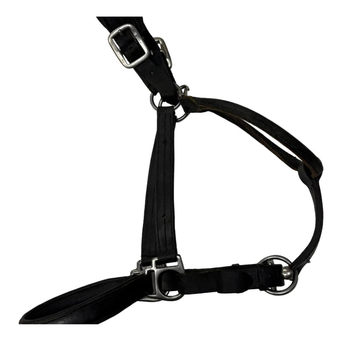 CNT 3115N Leather Halter Black approx. Full