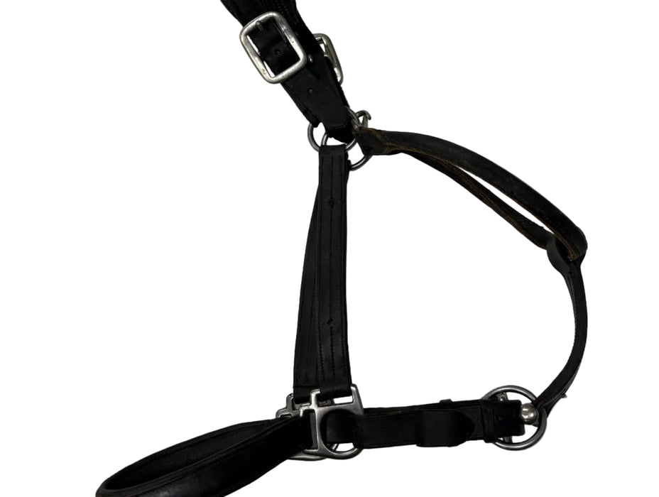 CNT 3115N Leather Halter Black approx. Full