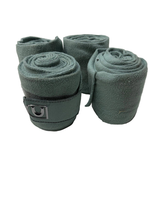 CNT 3115I Cavallo Polo Wraps Teal