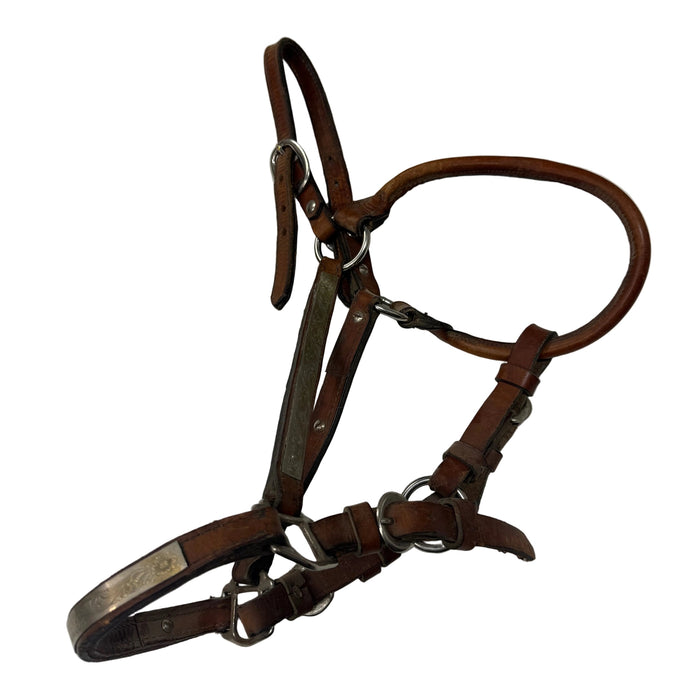 CNT 3120B Leather Halter with Silver Plates Brown approx. Full
