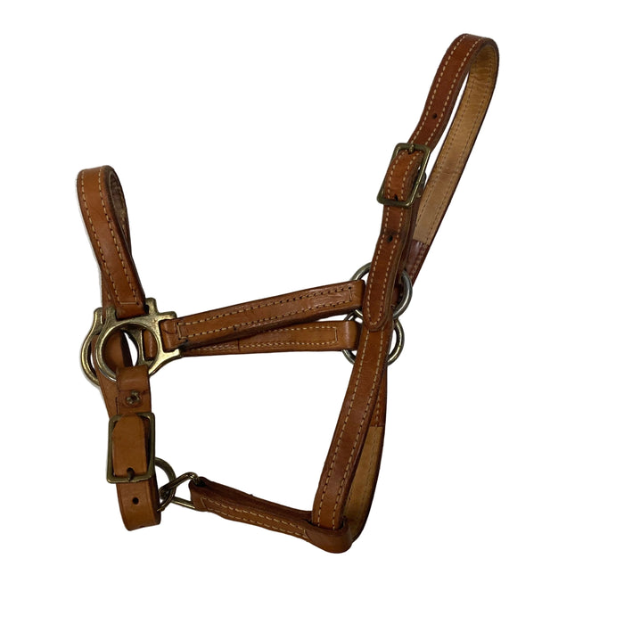 CNT 2140IIIII Leather Halter Light Brown approx. Pony