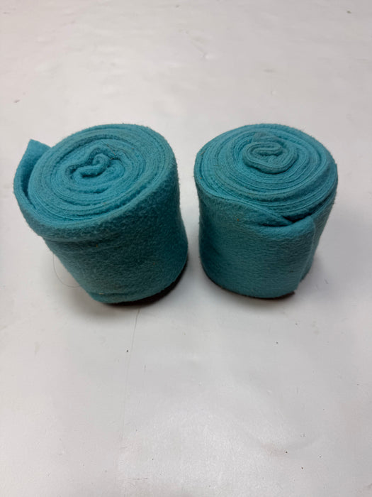 CNT 3217L Polo Wraps Teal (Set of 2)