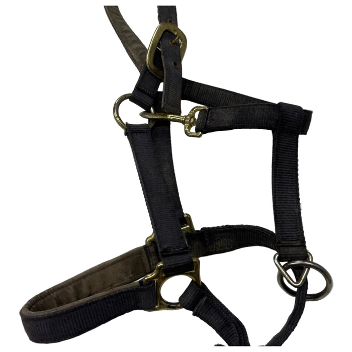 CNT 3220B Halter Nylon Blue approx. Horse