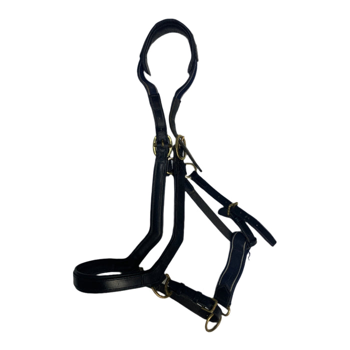 CNT 2878U Rambo Leather Halter Black approx. Oversize
