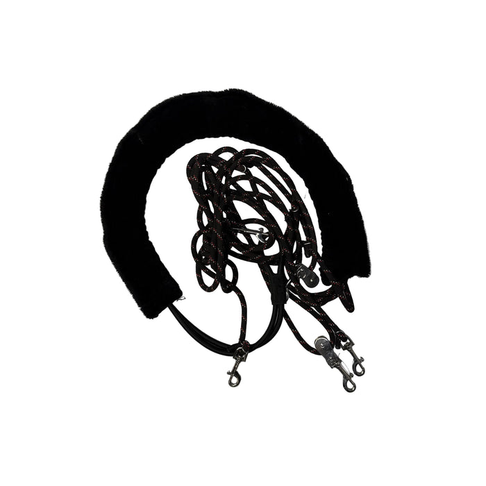 CNT 3130L Pessoa Lunging System