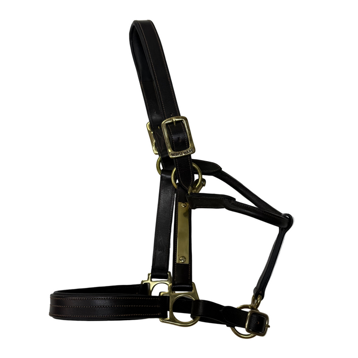CNT 2924E Horse Wear Leather Halter Brown approx. Full