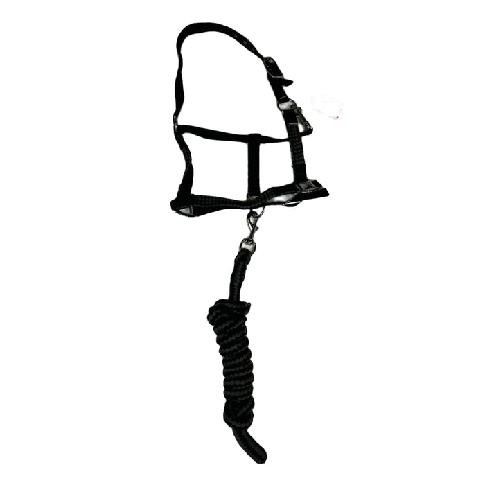 CNT 2851H Horze Nylon Halter and Lead Rope Black/Grey Cob