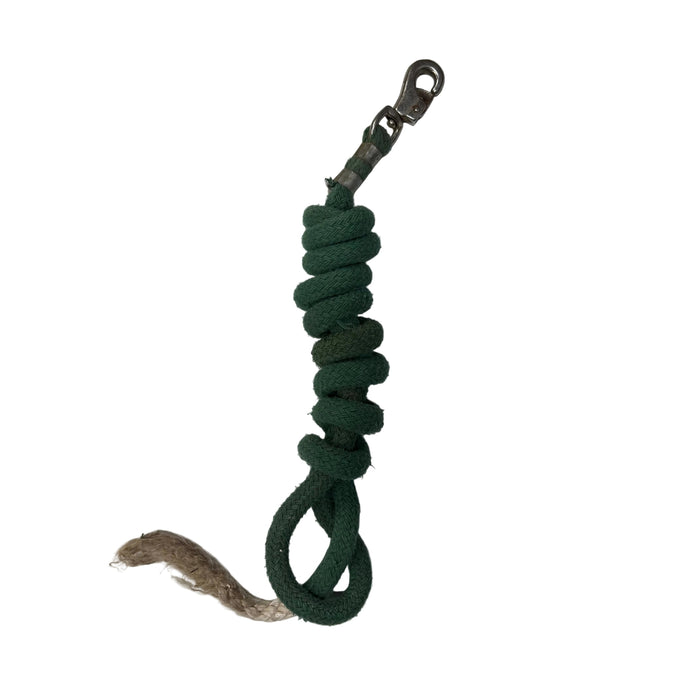CNT 3171ZZ Nylon Lead Rope Green