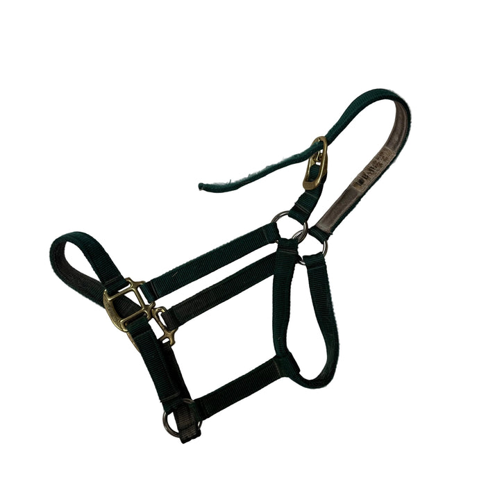 CNT 3171YY BMB Nylon Halter Green approx. Full