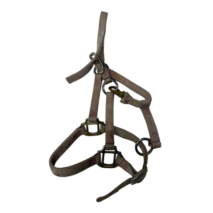 CNT 3009J Weaver Nylon Halter Tan Pony/Yearling