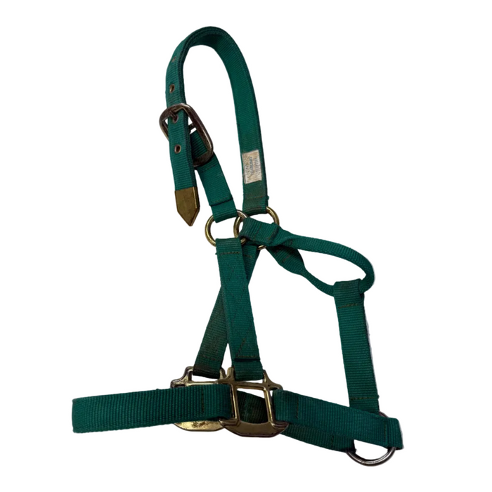 CNT 3009H Nylon Halter Green Yearling