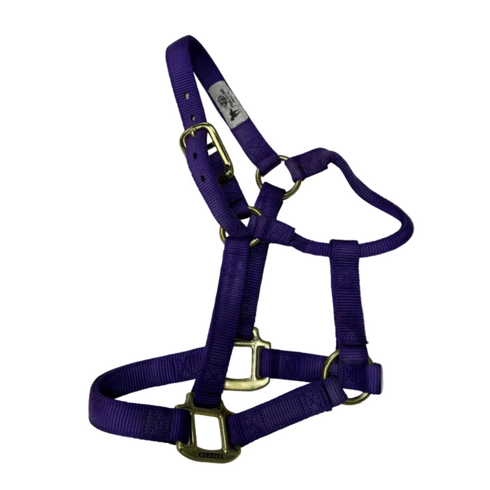 CNT 3009F Weaver Nylon Halter Purple Yearling