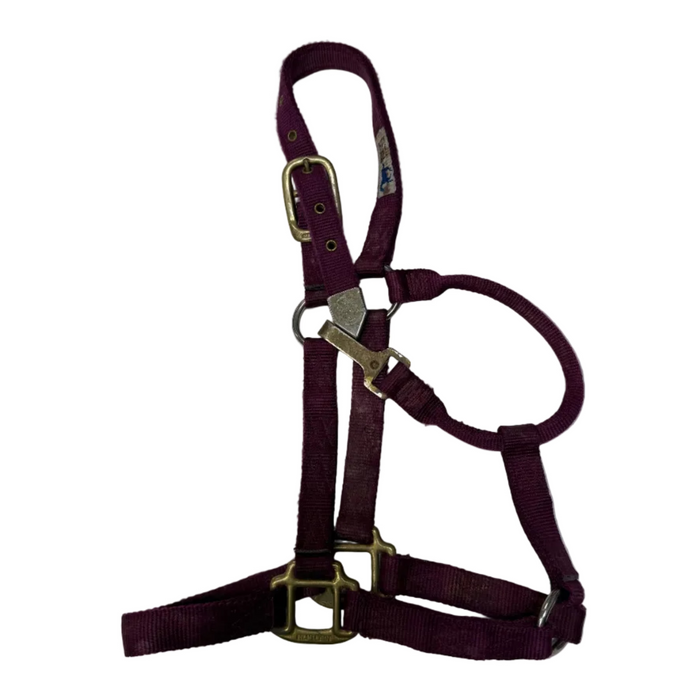 CNT 3009E Hamilton Nylon Halter Maroon Full