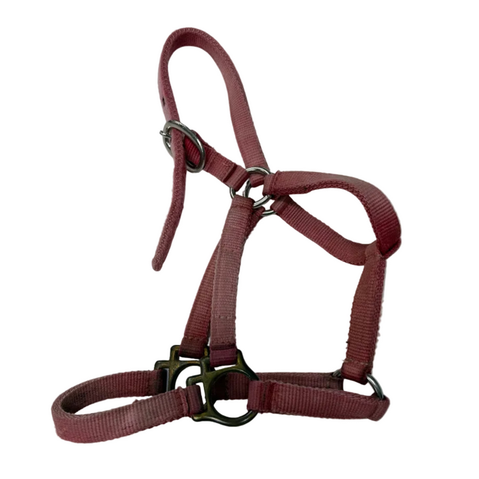 CNT 3009D Simco Nylon Halter Red Mini