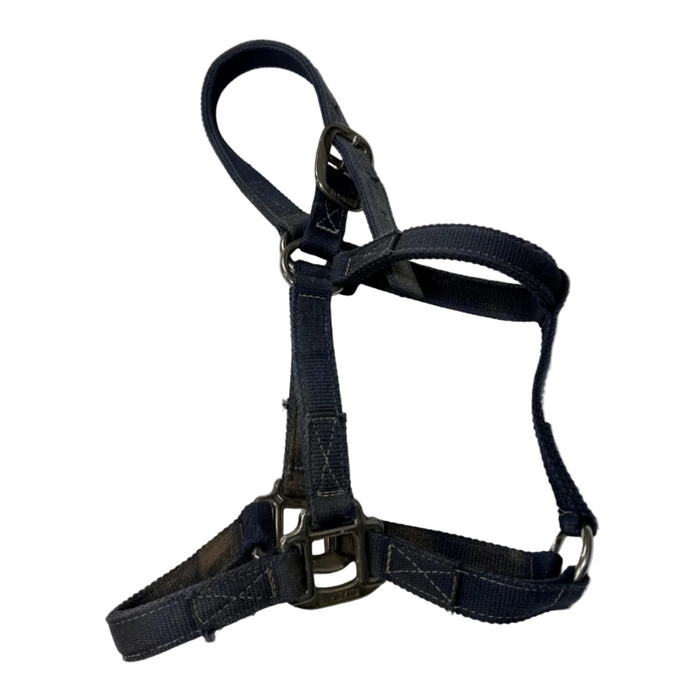 CNT 3009A Tex Tan Halter Blue approx. Cob