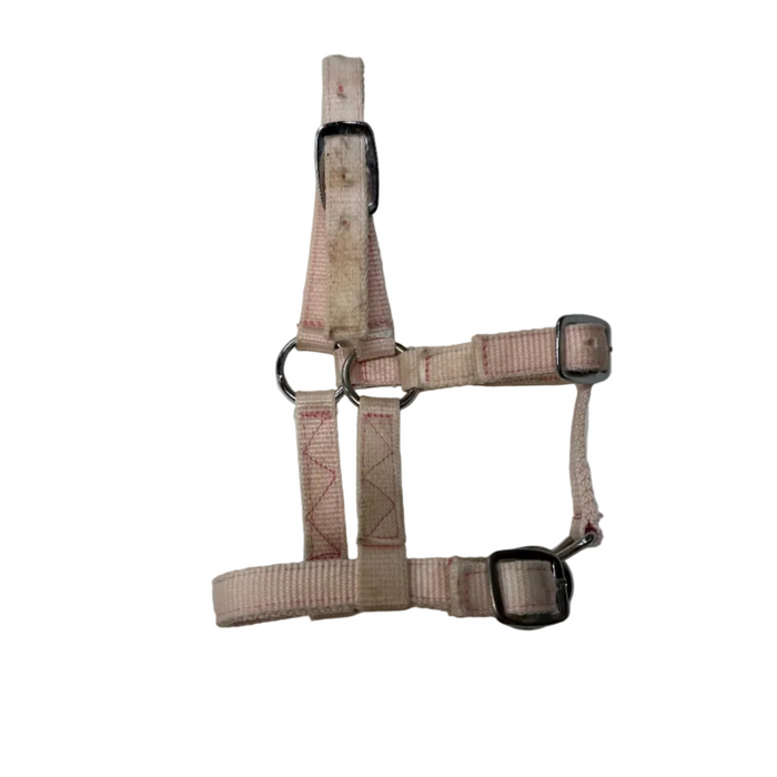 CNT 3009O Nylon Halter Light Pink approx. Mini