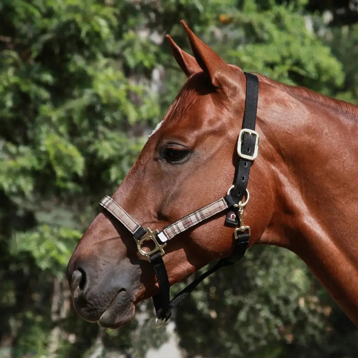 Kensington Reflective Breakaway Nylon Halter