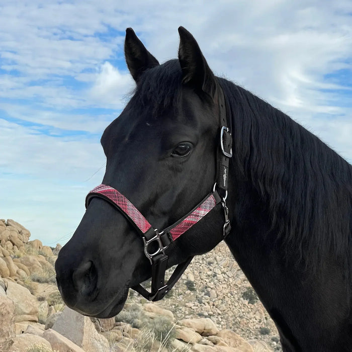 Kensington Reflective Breakaway Nylon Halter