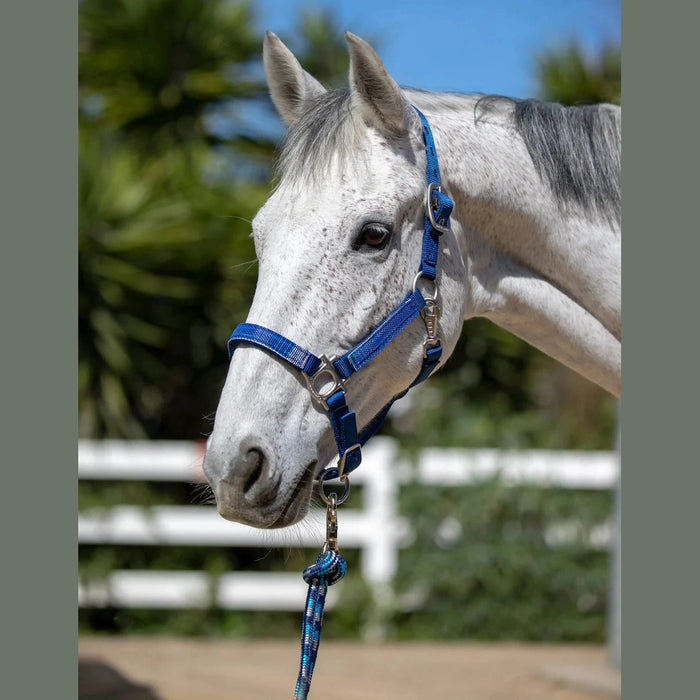 Kensington Reflective Breakaway Nylon Halter