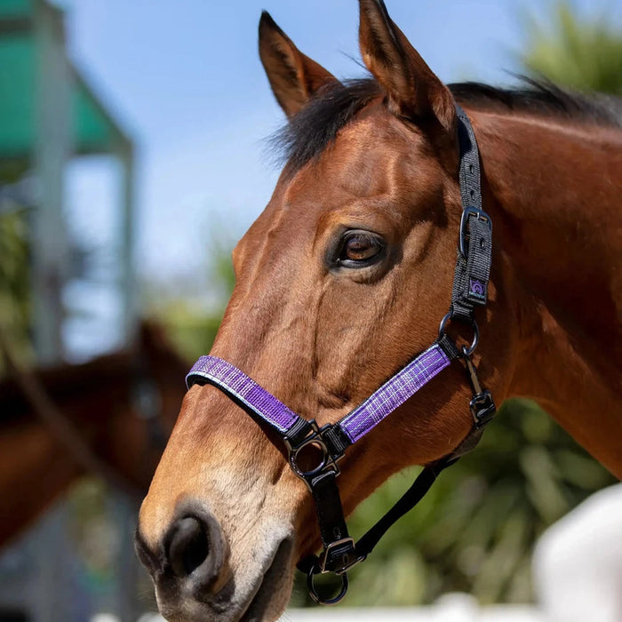 Kensington Reflective Breakaway Nylon Halter