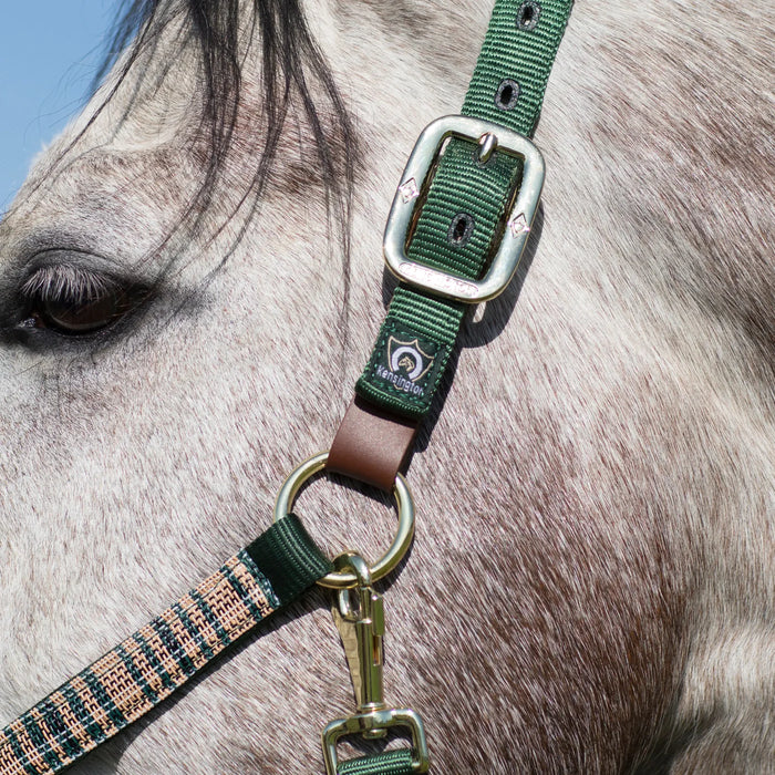 Kensington Leather Halter Breakaway Fuse