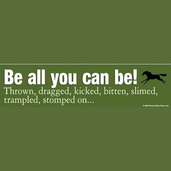 Bumper Sticker