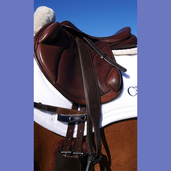 Stable Ride Stirrup Leathers