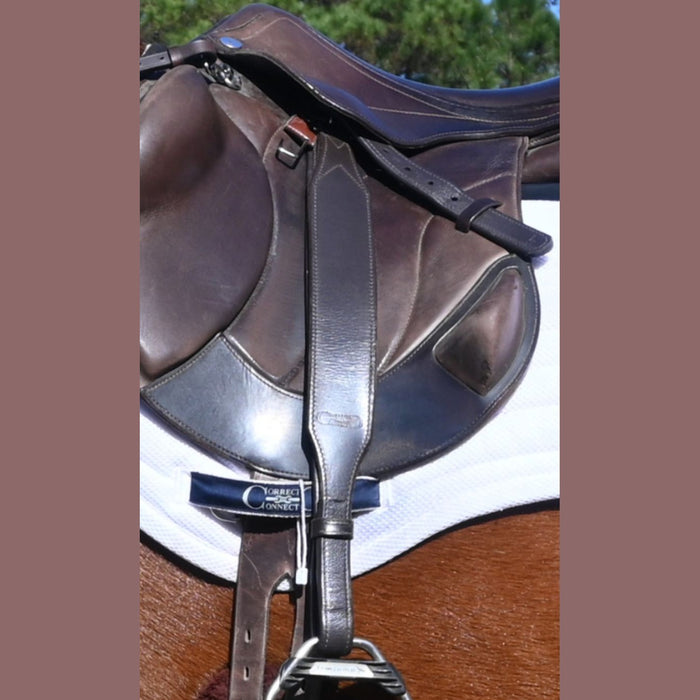 Stable Ride Stirrup Leathers
