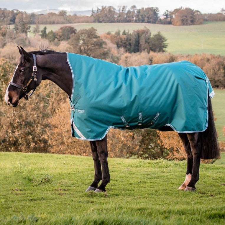 Horse Wear - Blankets