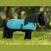 azure_show_rug_hero_option_page_16