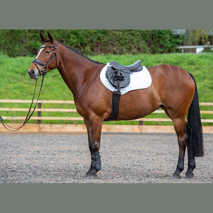 Kent & Masters 17.5" Adjustable Tree Competition Jump Brown