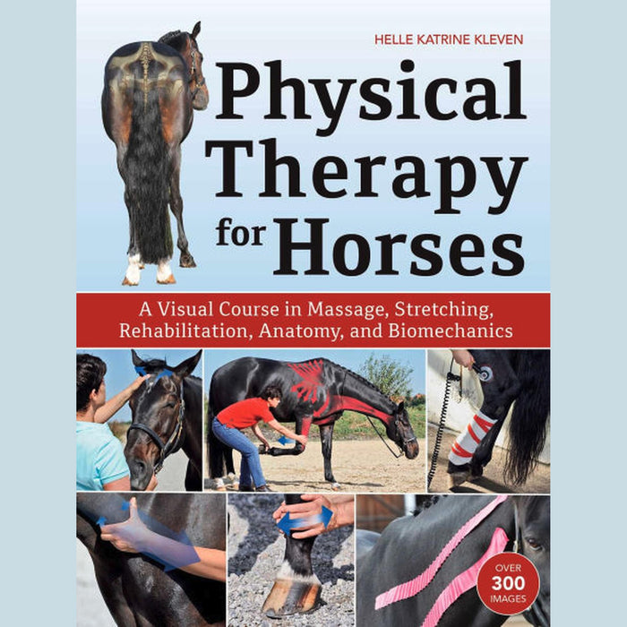 Physical Therapy for Horses