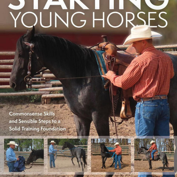 Starting Young Horses