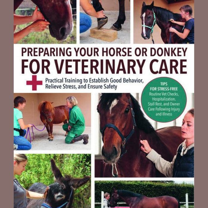 Preparing Your Horse or Donkey for Veterinary Care